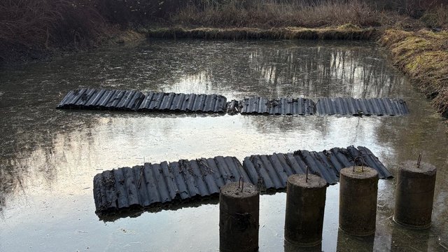 Duże zmiany w parku Julianowskim w Łodzi. Czystsza Sokołówka, korzyść dla środowiska