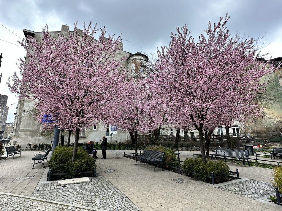 Wiosna rozgościła się w Łodzi!