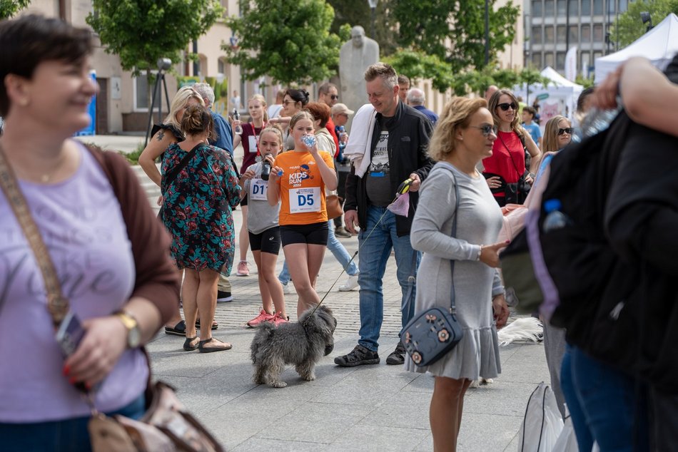 Mini Bieg Ulicą Piotrkowską Rossmann Run ukończony