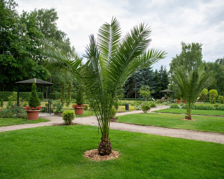 Ogród Fabrykanta w Ogrodzie Botanicznym w Łodzi
