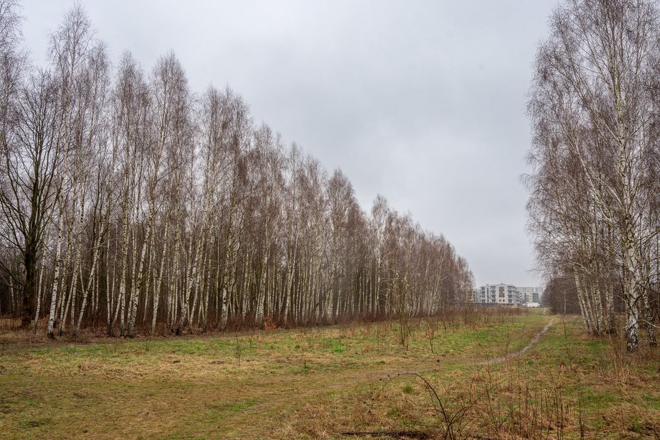 Park Leśny Lublinek