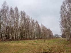 Park Leśny Lublinek