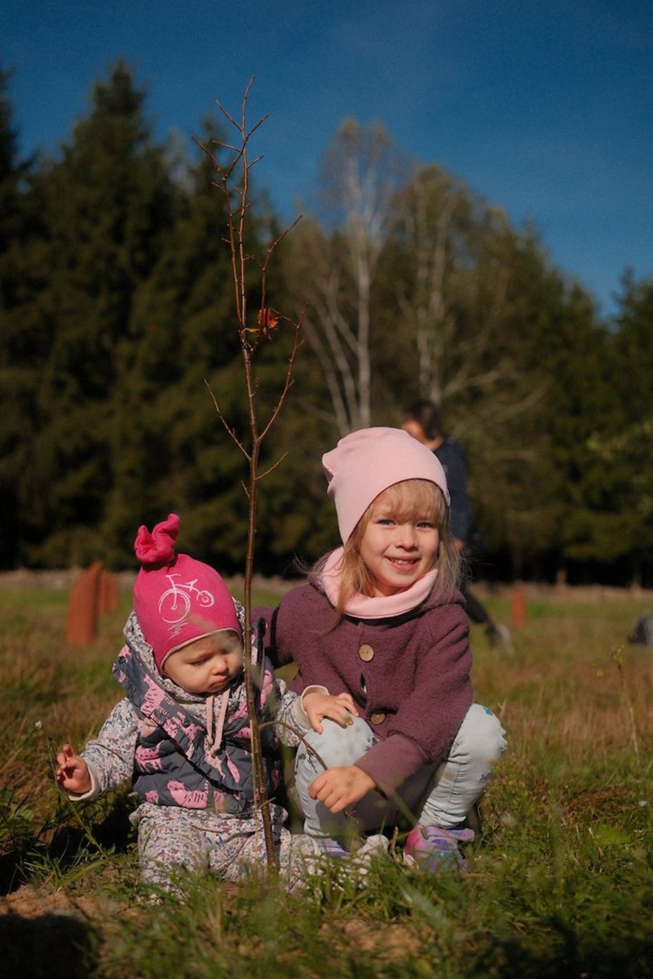 Las Młodej Łodzi powiększył się! Nowe dęby i lipy na pamiątkę narodzin dziecka