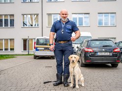 Łódź. Strażnik Maks. Uroczy labrador nowym funkcjonariuszem Straży Miejskiej w Łodzi