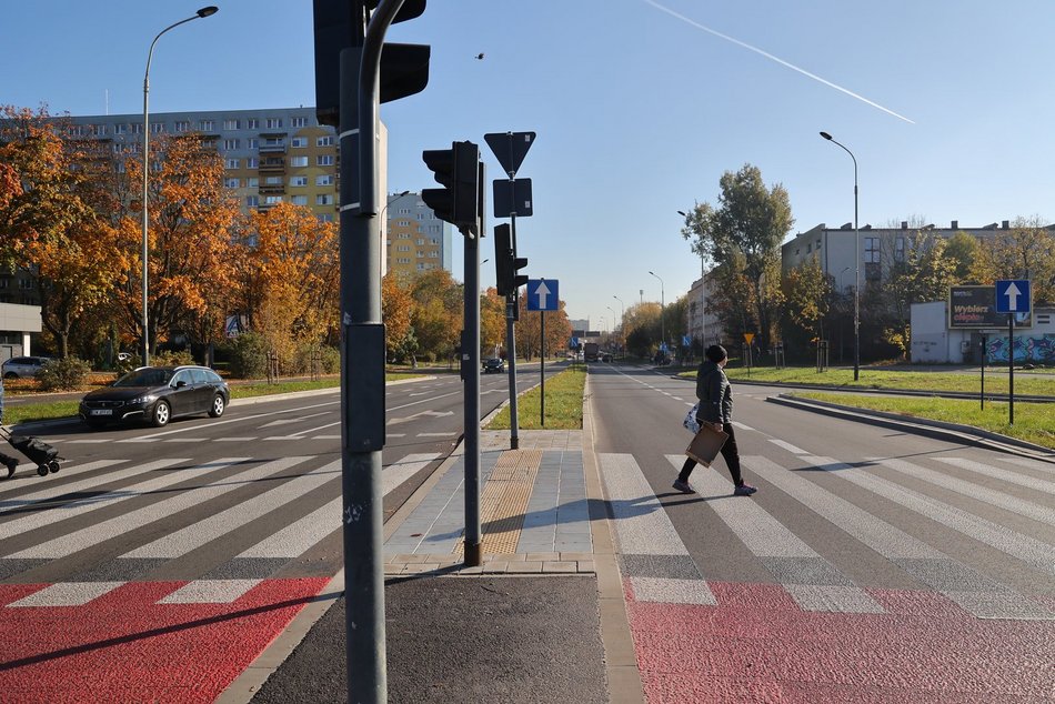 Mniej betonu, więcej zieleni! U zbiegu Lutomierskiej i Włókniarzy zakwitną rośliny