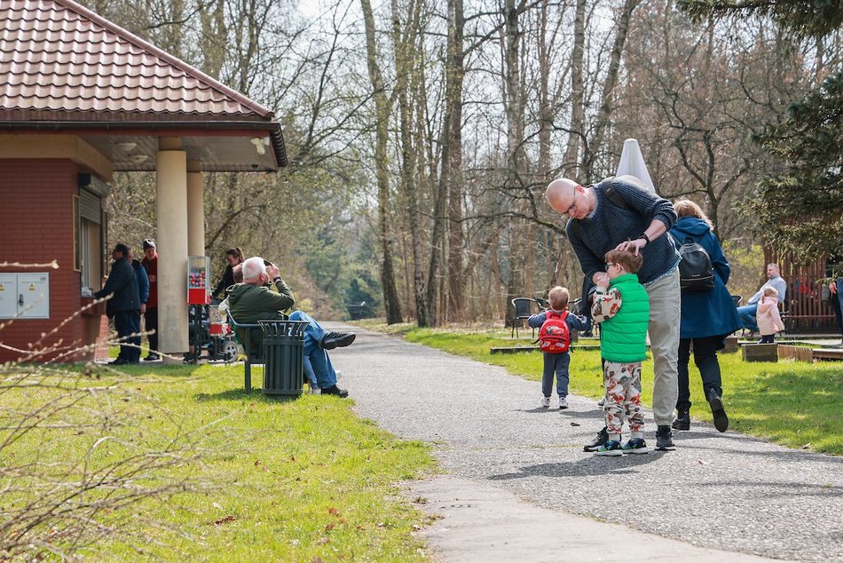 Łódź. Ogród Botaniczny w Łodzi otwarty! Czas na spacery po zimowej przerwie