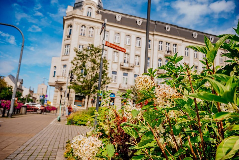 Łódź. Wrzesień w Łodzi potrafi zaskoczyć! Miasto wciąż tętni kolorami i zapachem kwiatów