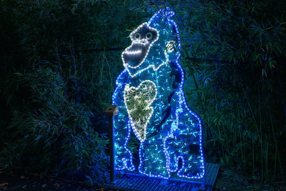 Park Miliona Świateł w Łodzi otwarty! Magiczne zwierzęta opanowały Orientarium Zoo Łódź
