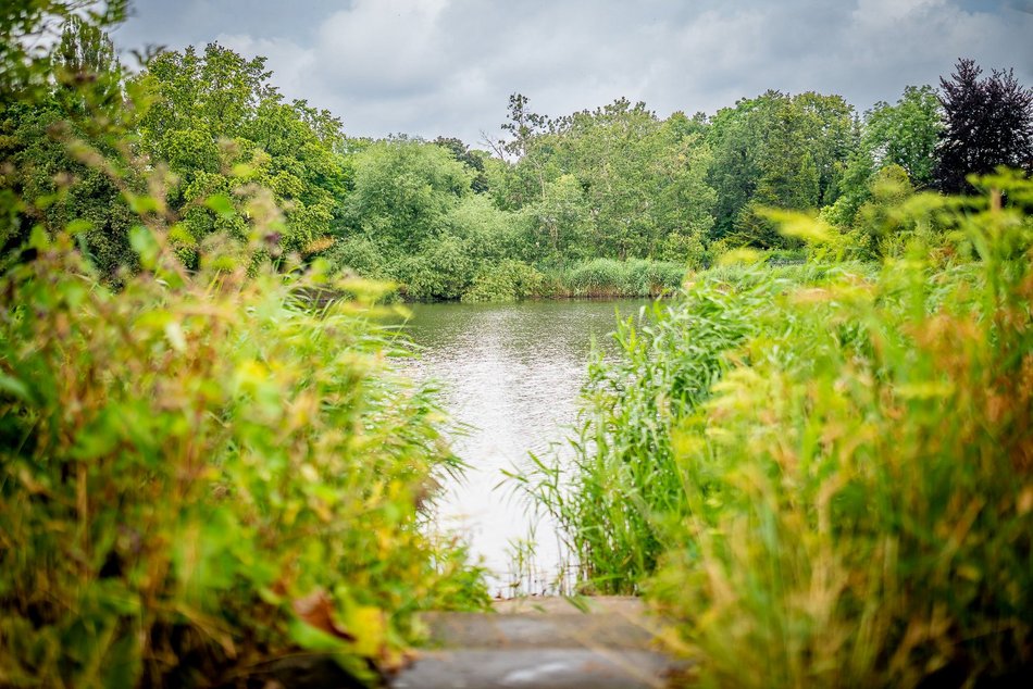 Łódź. Rewolucja przy Przędzalnianej w Łodzi. Zielona plaża, plac zabaw i pętla biegowa nad Jasieniem