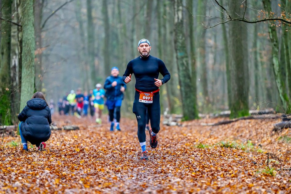 Cookie Run w Lesie Łagiewnickim w Łodzi