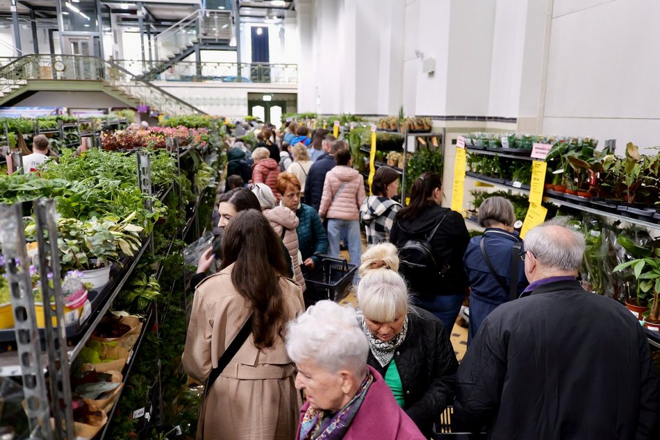 Łódź. Przyjdź na Festiwal Roślin w EC1 Łódź! Nowe gatunki, okazy kolekcjonerskie i więcej