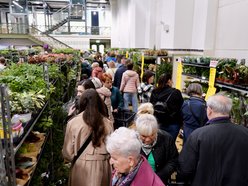 Łódź. Przyjdź na Festiwal Roślin w EC1 Łódź! Nowe gatunki, okazy kolekcjonerskie i więcej