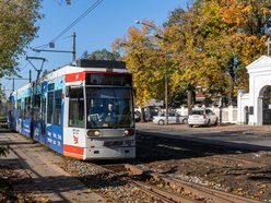 Łódź. MPK Łódź na cmentarze. Więcej kursów i specjalne linie 25-26 października