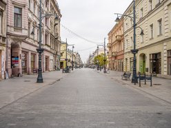 Nowe drzewa na Piotrkowskiej w Łodzi od placu Wolności