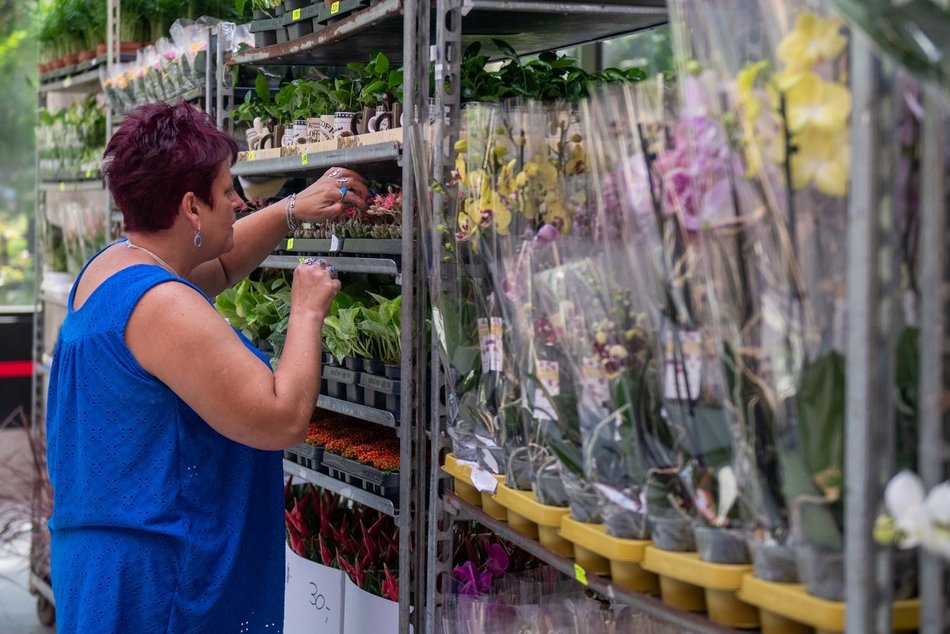 Pierwsze Targi roślin egzotycznych w Orientarium Zoo Łódź. Ale okazy!