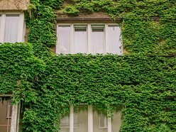 Łódź. To najbardziej zielona kamienica w Łodzi. Ten widok zapiera dech!