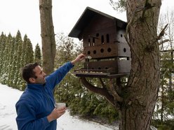 Łódź. Cztery kąty dla wiewiórek i ptaków z Łodzi! Pracownicy ZWiK Łódź zbudowali pomysłowy karminik