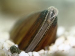 Łódź. Aż 56 nowych pracowników w ZWiK Łódź. Czym się zajmują tajemniczy bohaterowie?