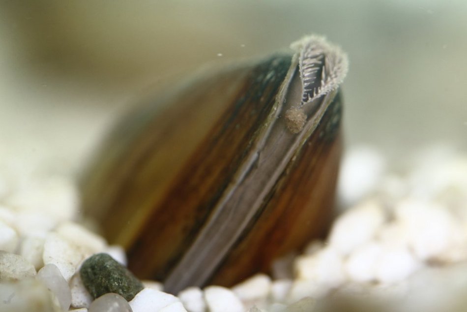 Łódź. Aż 56 nowych pracowników w ZWiK Łódź. Czym się zajmują tajemniczy bohaterowie?