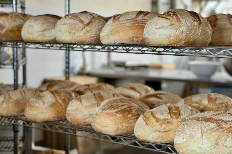 Łódź. Najlepsze piekarnie. Oceny w Google nie pozostawiają wątpliwości!