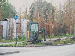 Niemal 300 nowych drzew na ul. Szczecińskiej w Łodzi