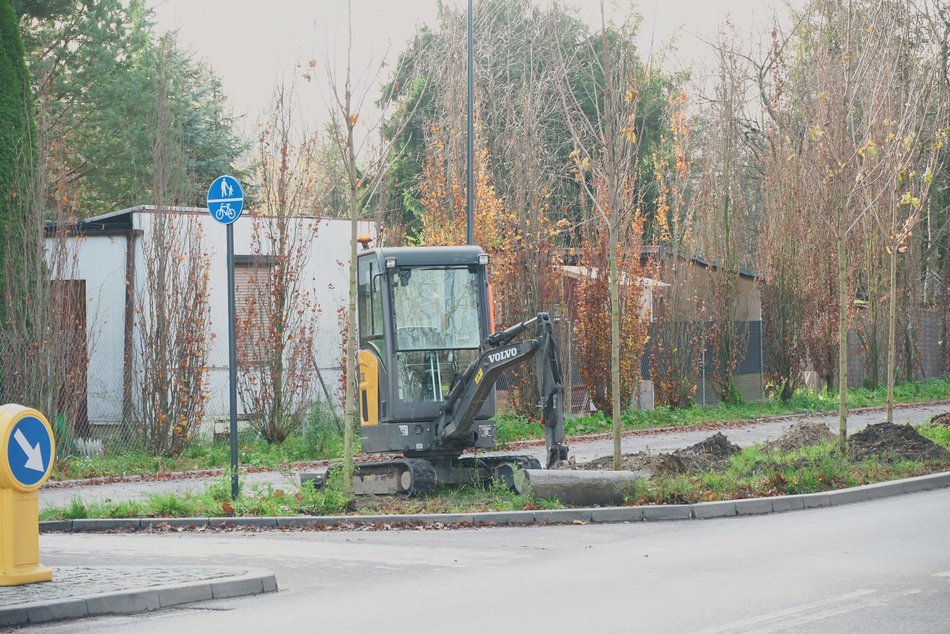 Niemal 300 nowych drzew na ul. Szczecińskiej w Łodzi