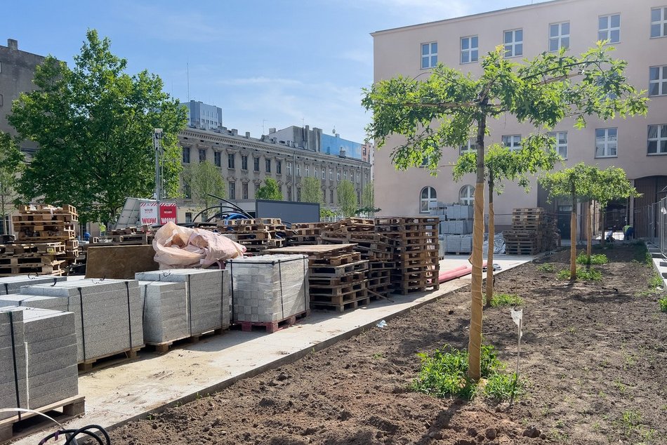 Remont pasażu Schillera, sadzenie drzew