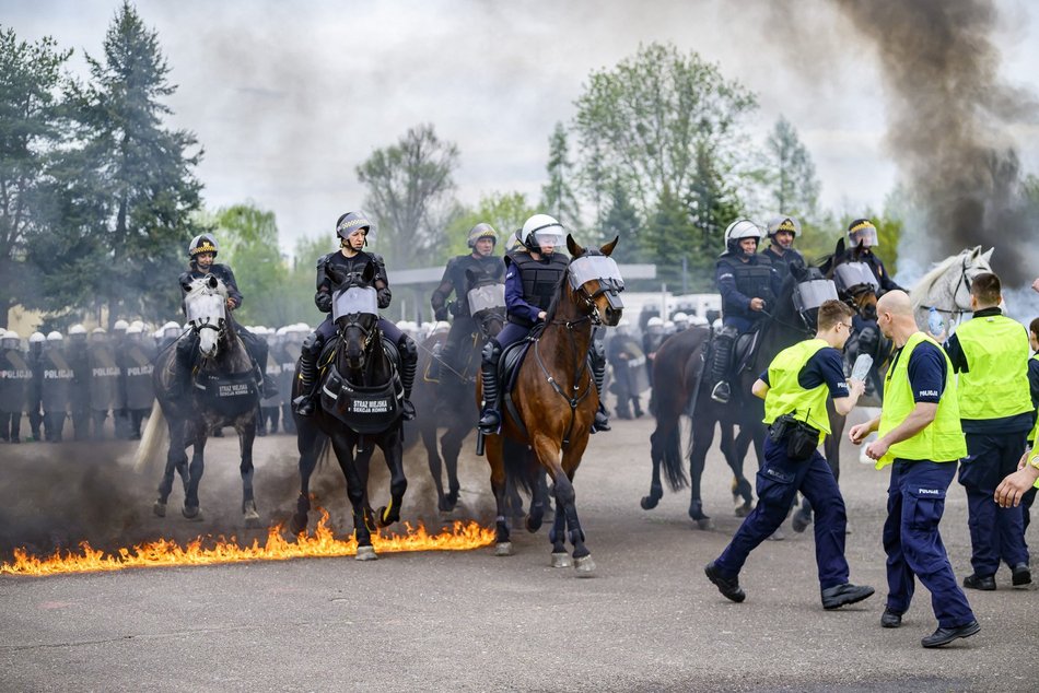 Łódź. Zwierzęta Straży Miejskiej na szkoleniu