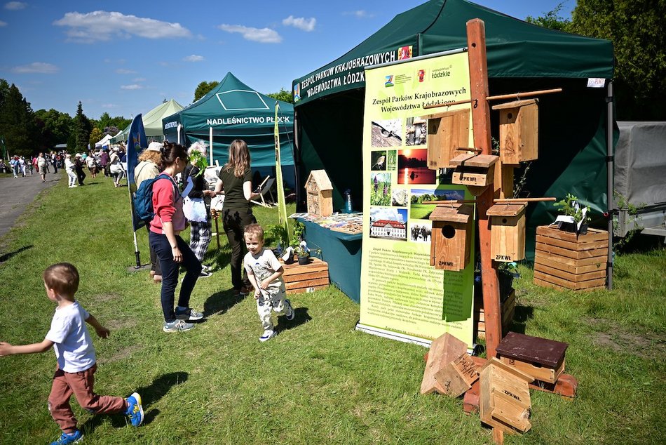 Łódź. Majówka w Ogrodzie Botanicznym w Łodzi. Słońce, przyroda i dobra zabawa