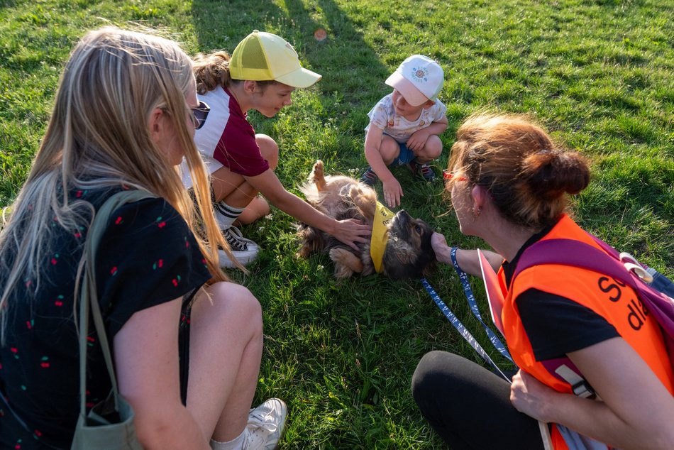 Łódź. Psia Polówka na Widzewskiej Górce. Psiaki przejęły dowodzenie!
