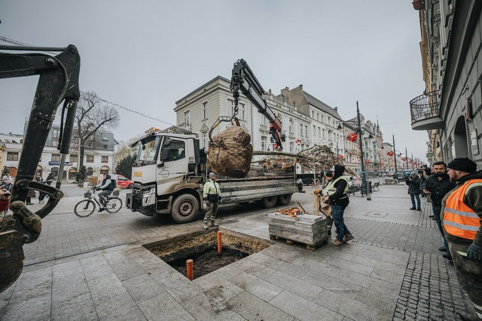 Łódź. Zielona metamorfoza Piotrkowskiej!