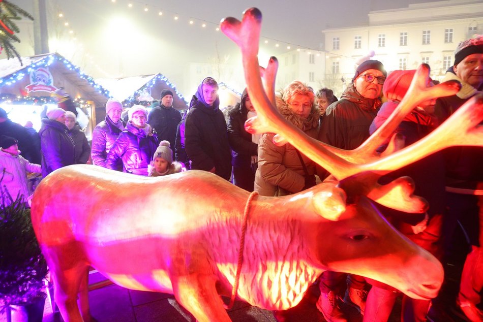 Tłumy na otwarciu Jarmarku Bożonarodzeniowego w Łodzi. Byłeś/aś? Znajdź się na zdjęciach!