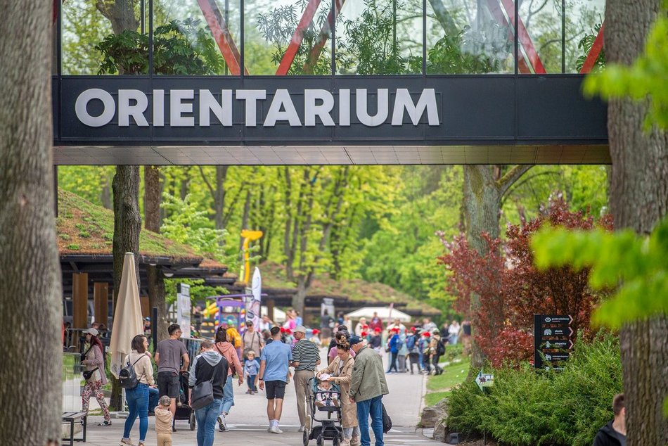 Łódź. Majówka w Orientarium Zoo Łódź