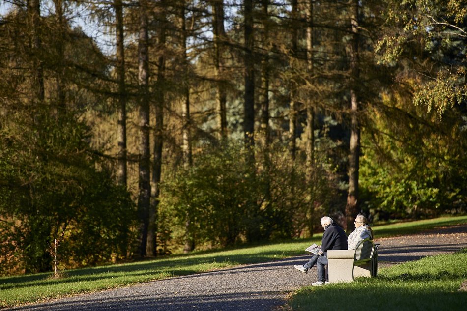 Łódź. Ogród Botaniczny w Łodzi gotowy na wiosenny sezon spacerowy. Kiedy otwarcie?
