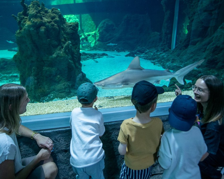 Łódź. Dzień Dziecka w Orientarium Zoo Łódź. Tylu atrakcji tam jeszcze nie było!