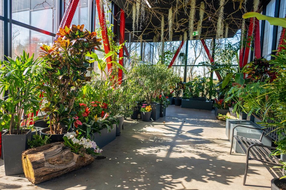 Łódź. Nowa motylarnia w Orientarium Zoo Łódź już otwarta! Największe takie miejsce w Polsce