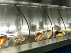 Łódź. Aż 56 nowych pracowników w ZWiK Łódź. Czym się zajmują tajemniczy bohaterowie?