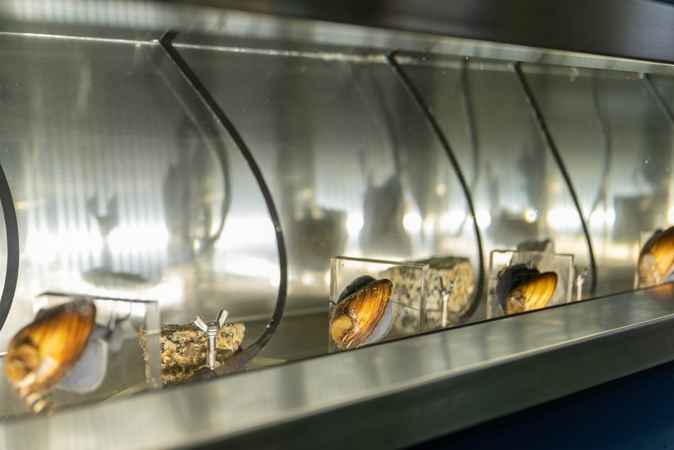 Łódź. Aż 56 nowych pracowników w ZWiK Łódź. Czym się zajmują tajemniczy bohaterowie?