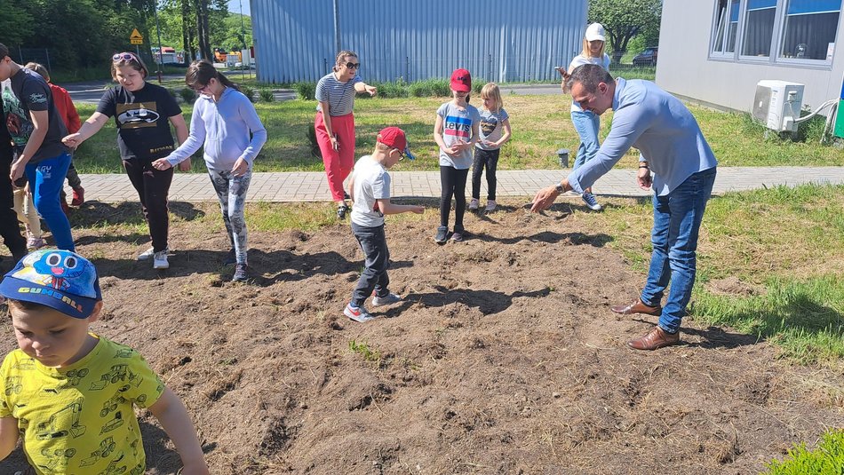 Dzieci zasiały łąkę kwietną i rozwiesiły domki dla owadów na terenie MPO