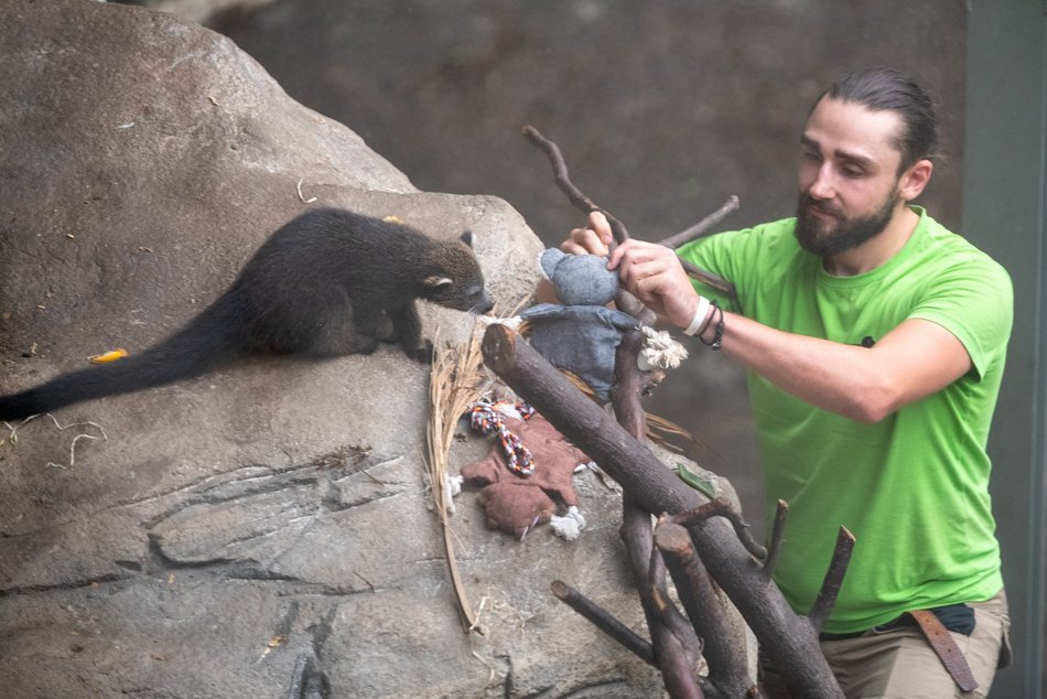 фото Paweł Łacheta