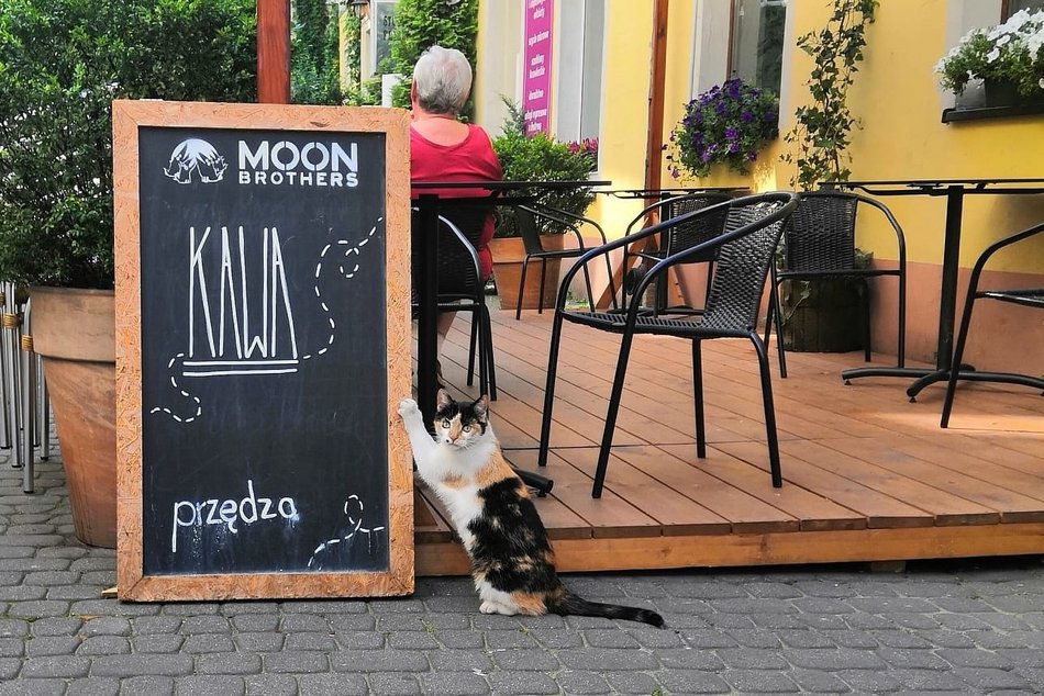 Kawiarnie z Łodzi znalazły się w przewodniku Coffee Spots