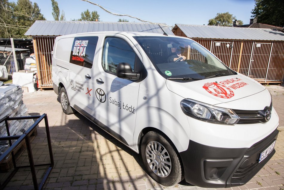 Masa karmy przyjechała do schroniska w Łodzi! W trosce o małe łakomczuchy