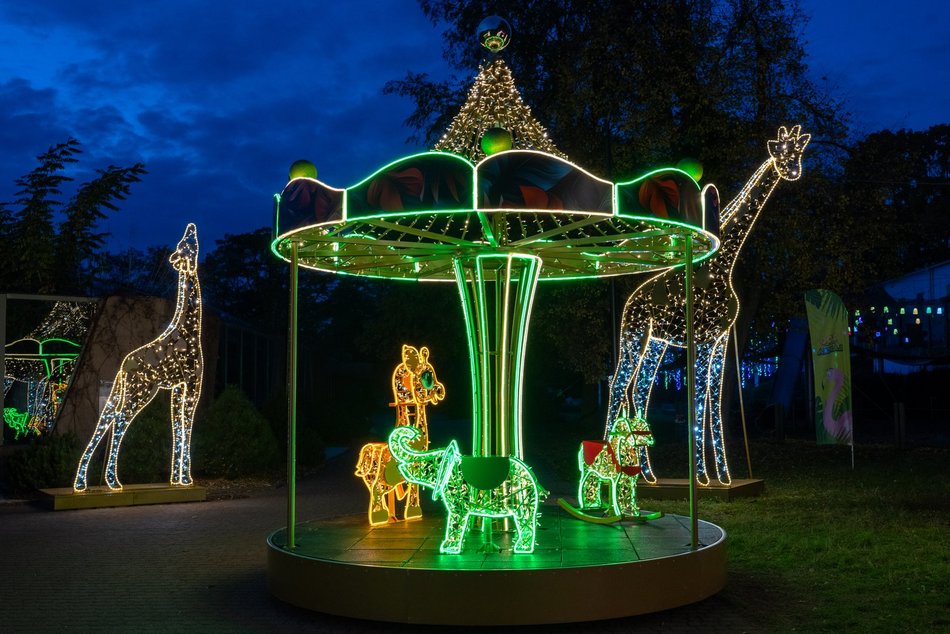 Park Miliona Świateł w Łodzi otwarty! Magiczne zwierzęta opanowały Orientarium Zoo Łódź