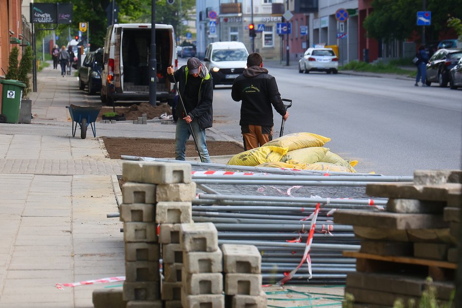 Łódź. Więcej zieleni w centrum! Zamiast betonu będą kolorowe byliny, krzewy i piękne rabaty