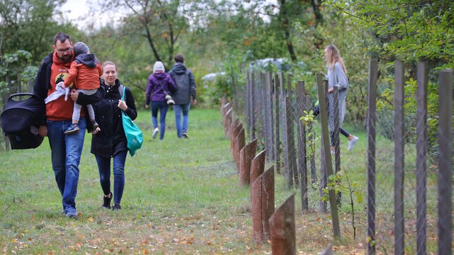 Las Młodej Łodzi coraz większy. 40 nowych drzew na cześć nowo narodzonych dzieci [ZDJĘCIA]