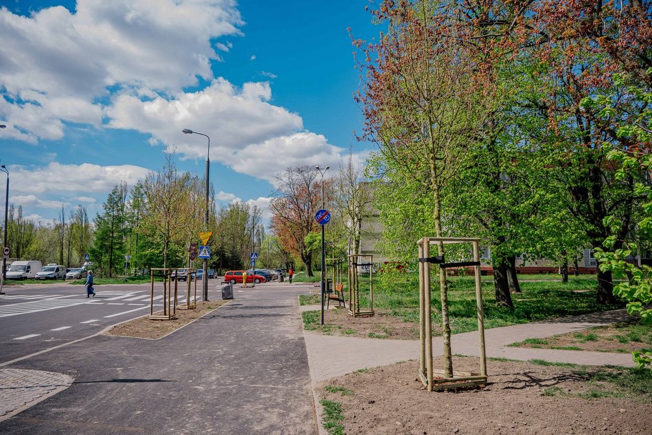 Łódź. Remont Gandhiego w Łodzi. Do nowej jezdni, chodników i parkingów dołączyły drzewa!