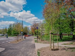 Łódź. Remont Gandhiego w Łodzi. Do nowej jezdni, chodników i parkingów dołączyły drzewa!