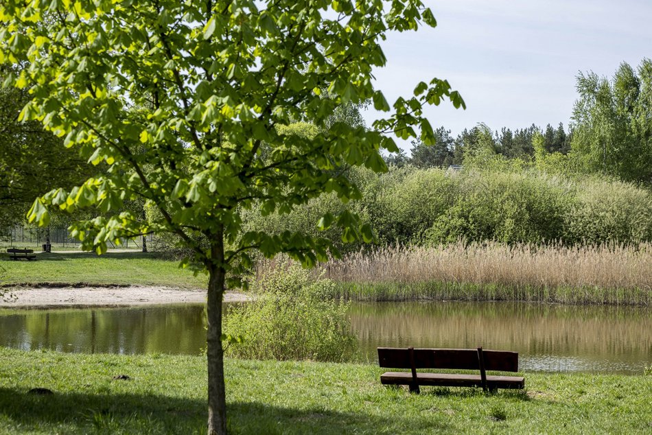Łódź. Lublinek w Łodzi zmienia się nie do poznania. Właśnie powstało tam miejsce piknikowe