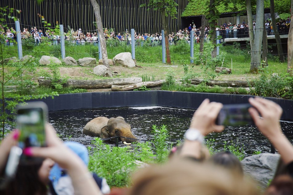 Łódź. Orientarium Zoo Łódź