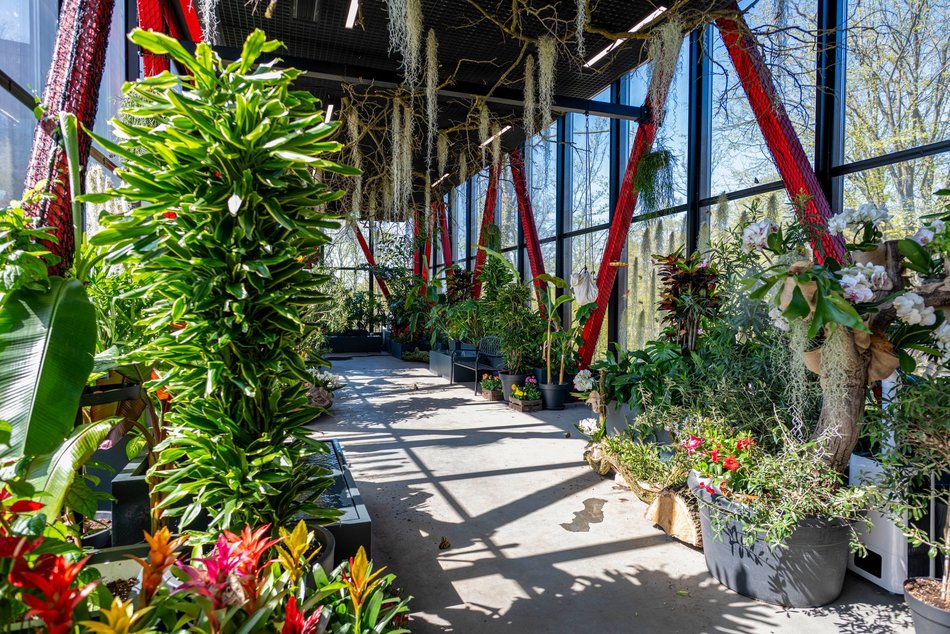 Łódź. Nowa motylarnia w Orientarium Zoo Łódź już otwarta! Największe takie miejsce w Polsce